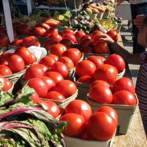 Farmers Market