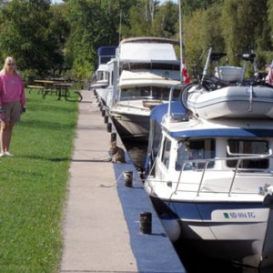 A quick walk while waiting for the lock