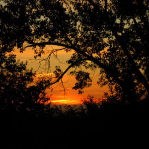 Sunrise on the waterway