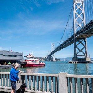 Oakland Bay Bridge