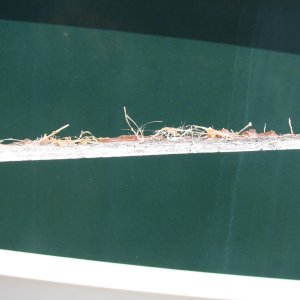 Glass which was cut out over the top of the void over the wood core of the transom