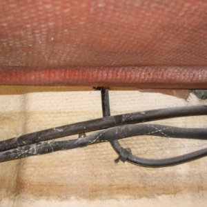 Transom, with wood core deliniated where the fiberglass bulges, between the bottom of the boat and under the deck
