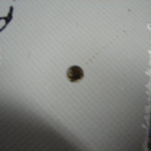 oversized hole drilled in deck