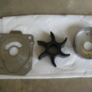 4 year old water pump impeller, wear plate and bottom plate