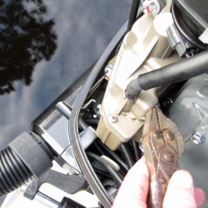 fuel line into injection pump for bleeding