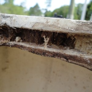 undercut and removed core