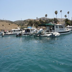 Catalina cruise, C Dory Tom Cat, 22, Cape Cruiser 26, C Dory 25 and 16