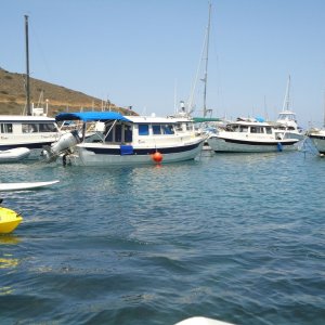 Catalina cruise