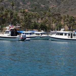 Catalina Cruise