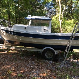 C Dory 19