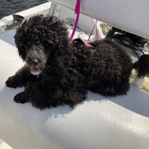 Gigi\'s first boat ride