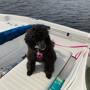 Gi first boat ride