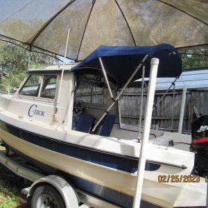 Bimini top