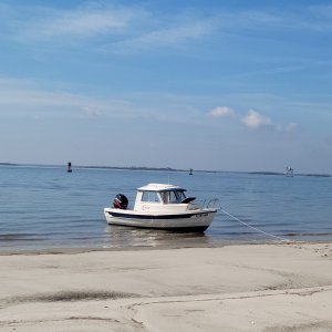 Media 'Beached on Cumberland Island' in album 'Boca Chita Lighthouse, Miami Biscayne National Park'