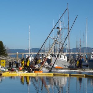 Sinker at local marina
Oil and Fuel were everywhere