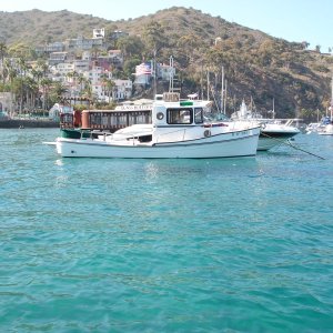 Media 'On the mooring in Avalon Catalina Island.' in album 'The sun sets on the way to Catalina Island.'
