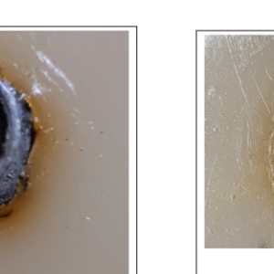 Media 'the bung on the left twisted a little when removing pu tube' in album 'the bung on the left twisted a little when removing pu tube'