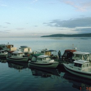 1 Oct 2005 Sequim: Many C-Dorys at the dock Saturday morning.