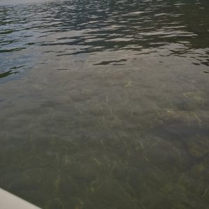 You have to be very careful.  There are old stumps and trees that come to the surface or just under the surface.  Water is clear.