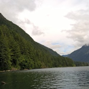 Media 'Towards the head of the reservoir there are more snags.' in album 'We launched at Skokomish Park, run by the Skokomish Nation.  $10.  This is in the afternoon when we returned.  Nobody was there in the morning.  No dock at this launch.'