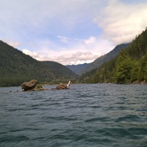 Media 'The original river canyon cuts down through the reservoir, so the depth between the rocks and shore is 40'.  To the left of the rocks were some tree tops still exposed.  Kind of dicey.' in album 'We launched at Skokomish Park, run by the Skokomish Nation.  $10.  This is in the afternoon when we returned.  Nobody was there in the morning.  No dock at this launch.'