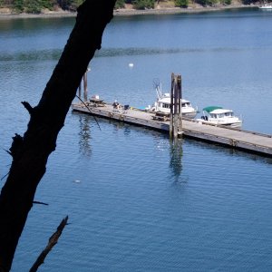 Stuart Island 026