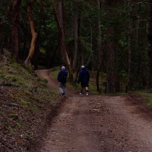 Stuart Island 072