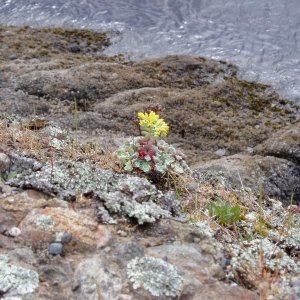 Media 'Stuart Island 050' in album 'Mt Baker from Anacortes'