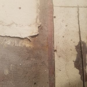 Note the dried mud areas where nothing was stuck down. You can also see the feather crack of the tabbing at lower right of photo. I just pulled that off by hand.
