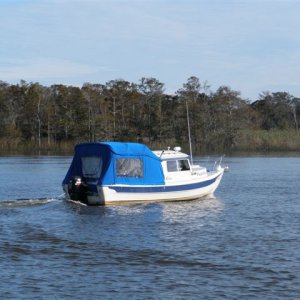 Papillon heading home form the Gulf Coast Gathering