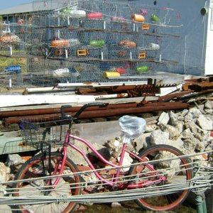 colorful crab traps
