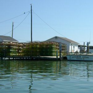 Crab houses 3