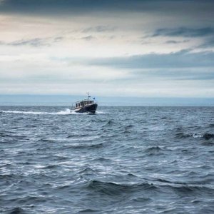Blue Max - Run across the Strait from Sequim to Cattle Point
