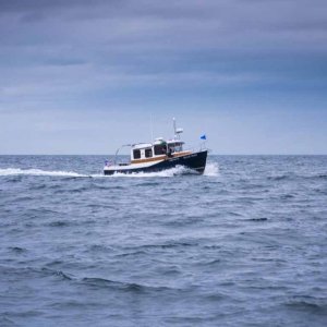 Blue Max - Run across the Strait from Sequim to Cattle Point