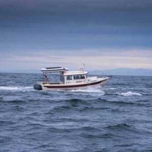 Sleepy C - Run across the Strait from Sequim to Cattle Point