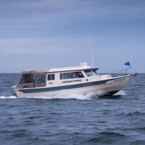 Lighthouse Express - Run across the Strait from Sequim to Cattle Point