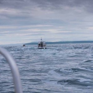 Run across the Strait from Sequim to Cattle Point