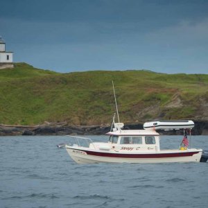 Sleepy C - Cattle Point Light