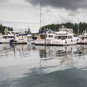 Roche Harbor