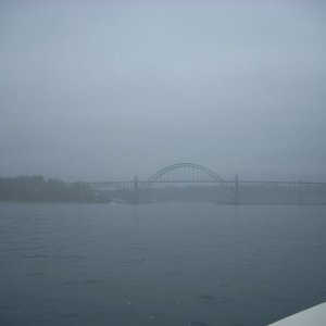 newport bridge      fog