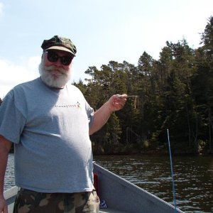 massive minnow
