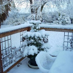 winter    dec. '08