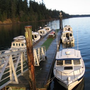 squim dock2