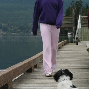 Sequim Bay 06 037