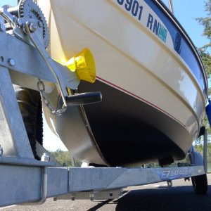 15
New Forward Bottom Paint