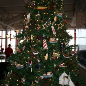Media 'Chinooks Xmass Tree' in album 'C-DNA in the chop'
