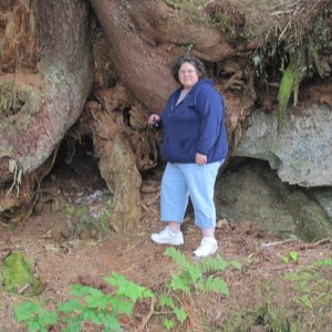 Helen\'s favorite tree stump