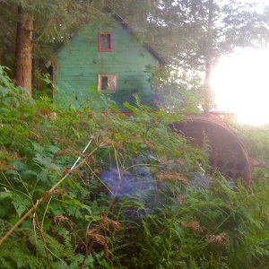 Media 'Tiger Olson's home & derelict boiler' in album 'Taku Harbor entrance'