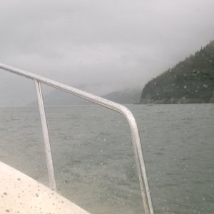 Whales outside of Taku Harbor