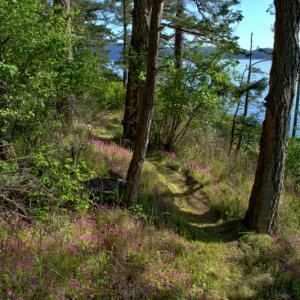 The trail around the south end of the island, Sunday May 5th